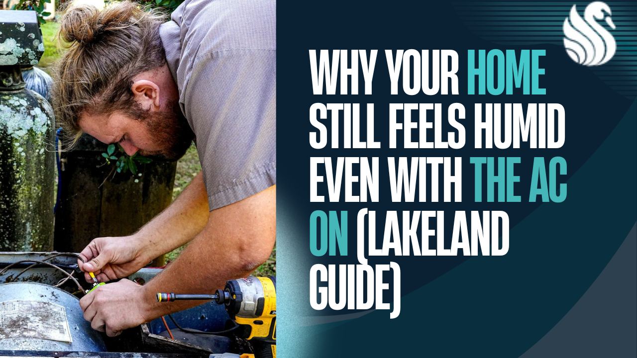Lakeland Guide